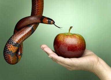 female had holding apple with snake