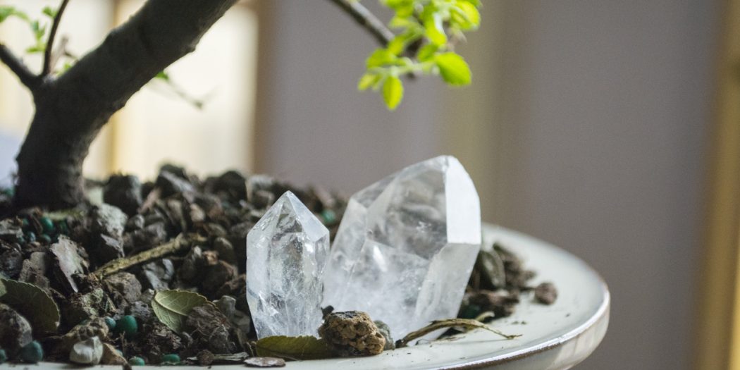 Using Crystals to Help Plants Yes Psychic Readings