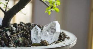 Using Crystals to Help Plants